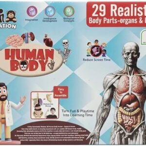 Educational_Toys